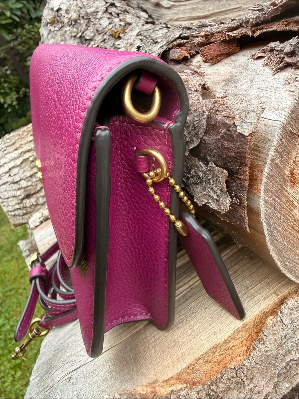Coach Hayden Crossbody Clutch Bag C4815